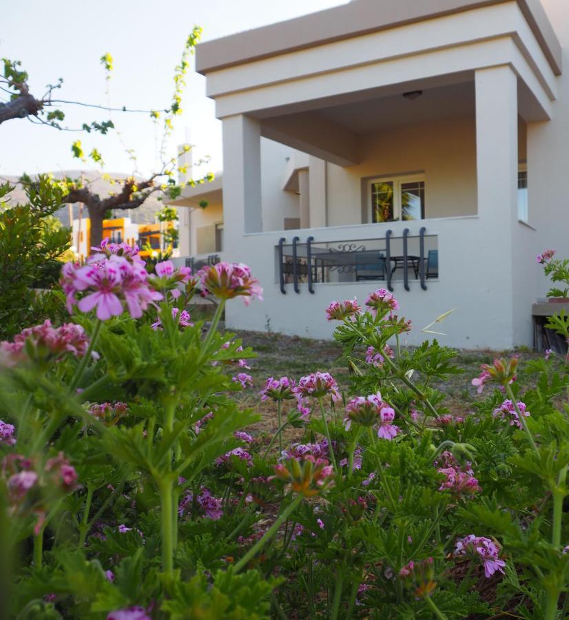 Villa Olive House Malia Exterior foto