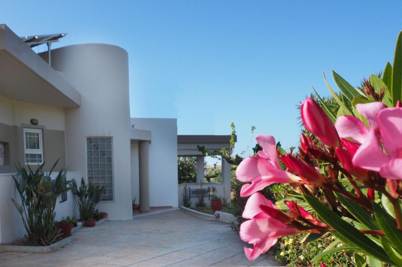 Villa Olive House Malia Exterior foto